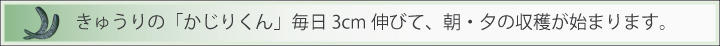 収穫