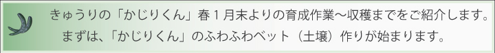 かじりくん　育成